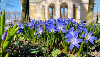 Летний и Михайловский сады откроются для посетителей 1 мая