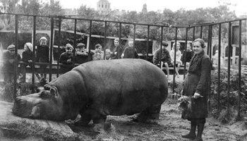 В День Победы Ленинградский зоопарк расскажет о работе в годы блокады