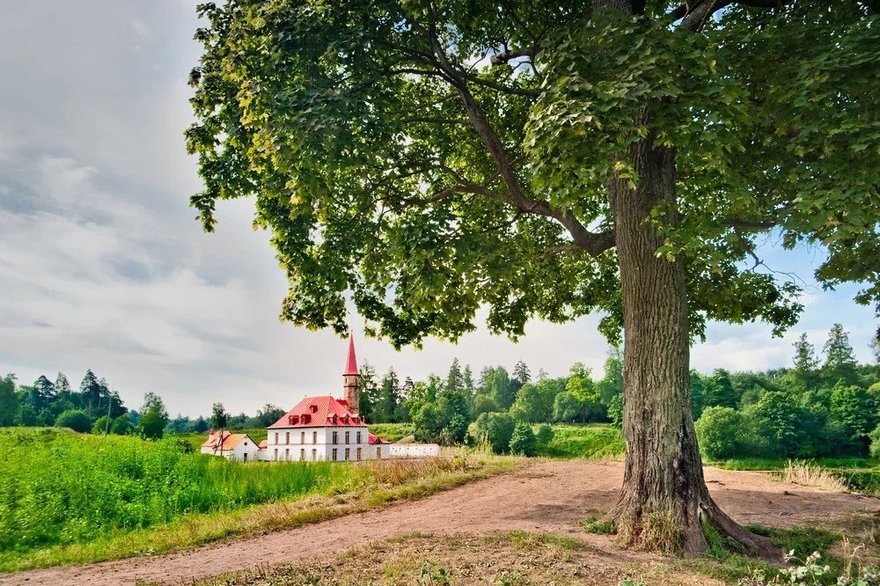 Тур на день «Царское Село — Павловск — Гатчина» со скидкой 61%