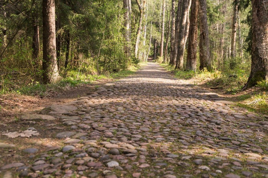 Центральный репинский парк