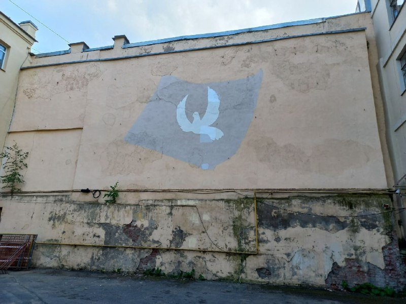 Жители Коломны спасли голубя мира