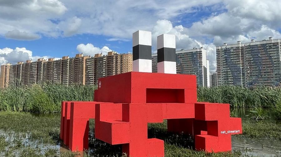Новый ракообразный житель появился в Мурине