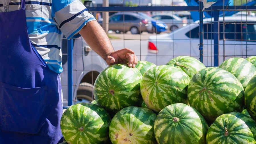 В Петербурге начали работать официальные точки продаж арбузов и дынь