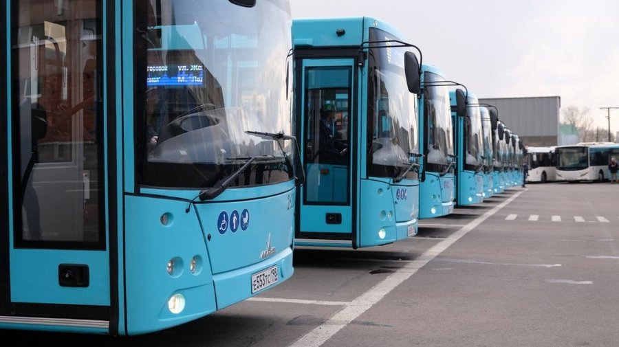 Петербургским автобусам вернут привычные таблички с указанием маршрута
