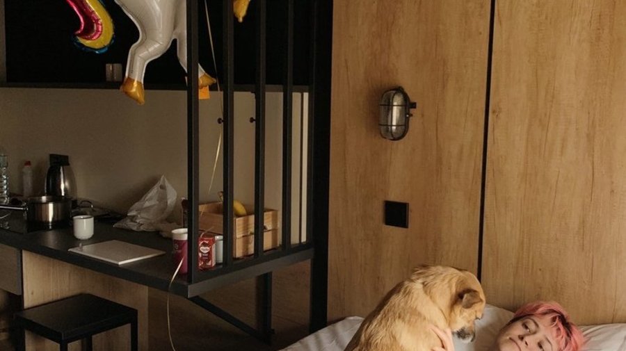 Топ-5 pet-friendly отелей, куда можно заехать с питомцами 