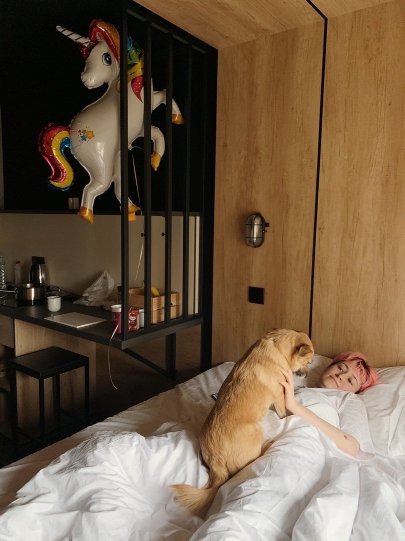 Топ-5 pet-friendly отелей, куда можно заехать с питомцами 