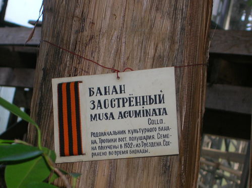 Маршрут военных лет в Ботаническом саду