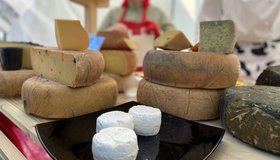 VI фестиваль «Сырная деревня»