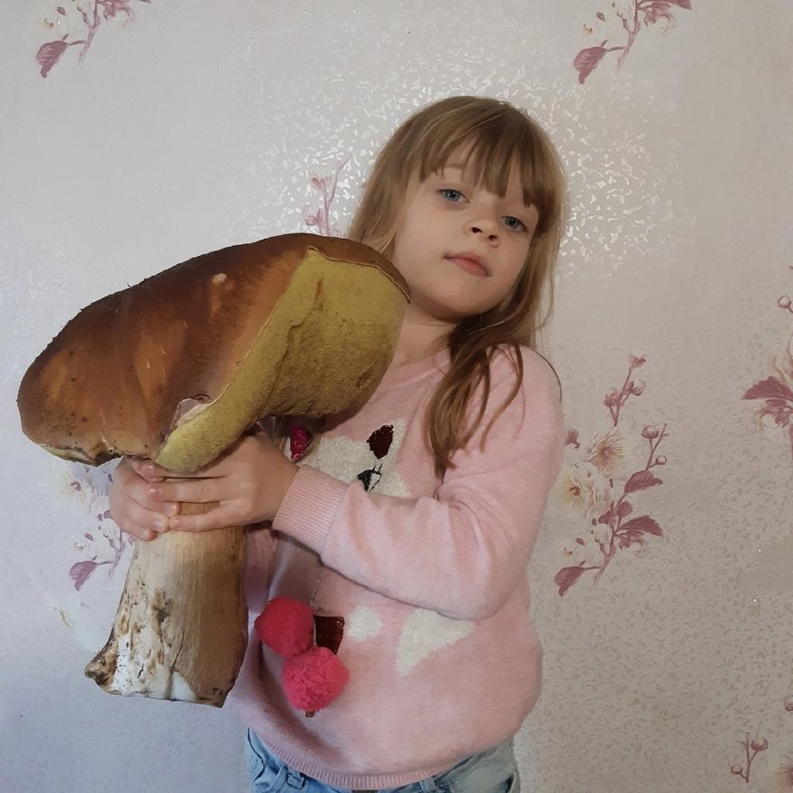 Петербурженка нашла в лесу белый гриб весом 2 килограмма
