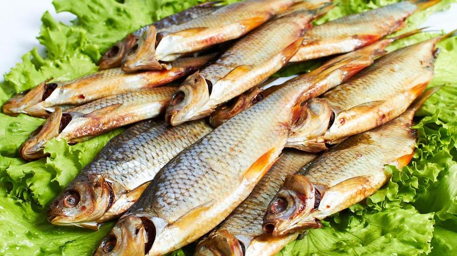 Laplandia Fish