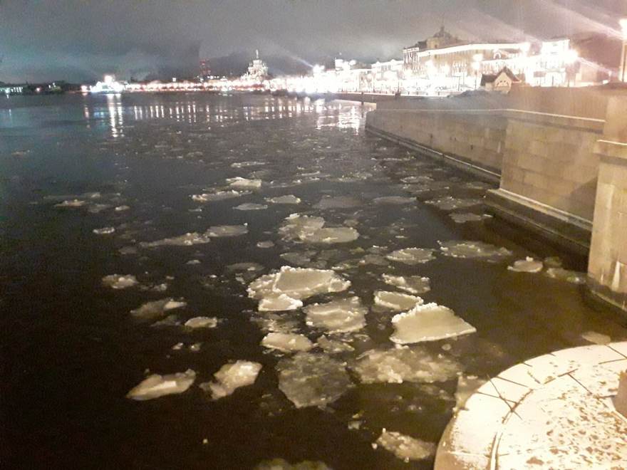 На Неве появился первый лёд