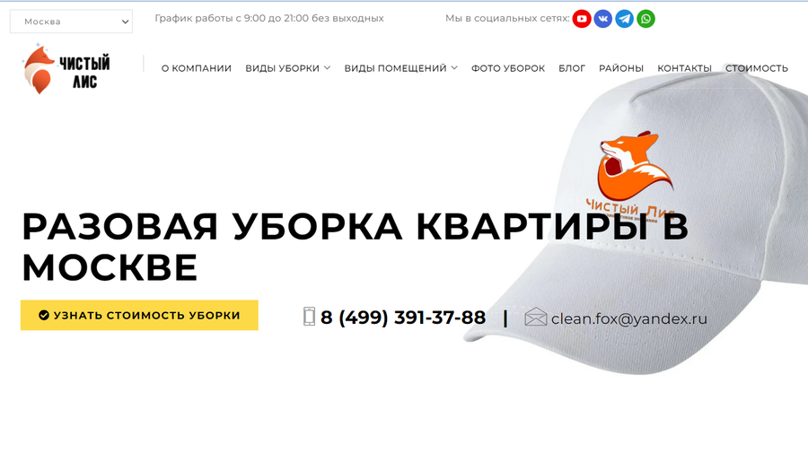 Чистый лис 3,9
