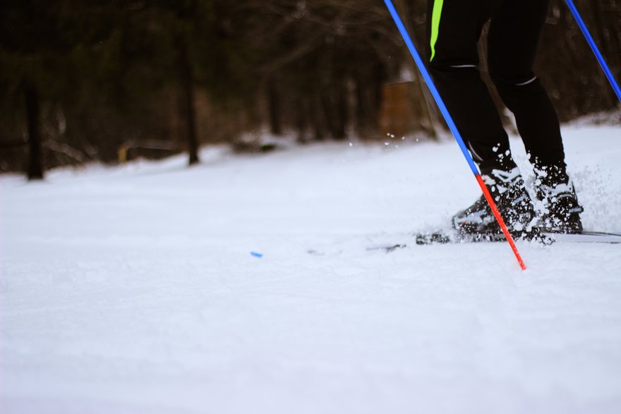 На Елагином острове открылся пункт проката лыж | Blog Fiesta