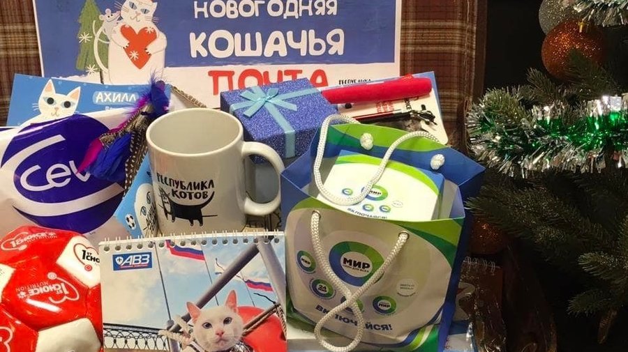 В «Республике кошек и котов» начала работать новогодняя почта