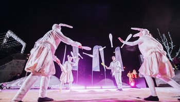 Проект «Морская зимняя сказка» в парке «Остров фортов»