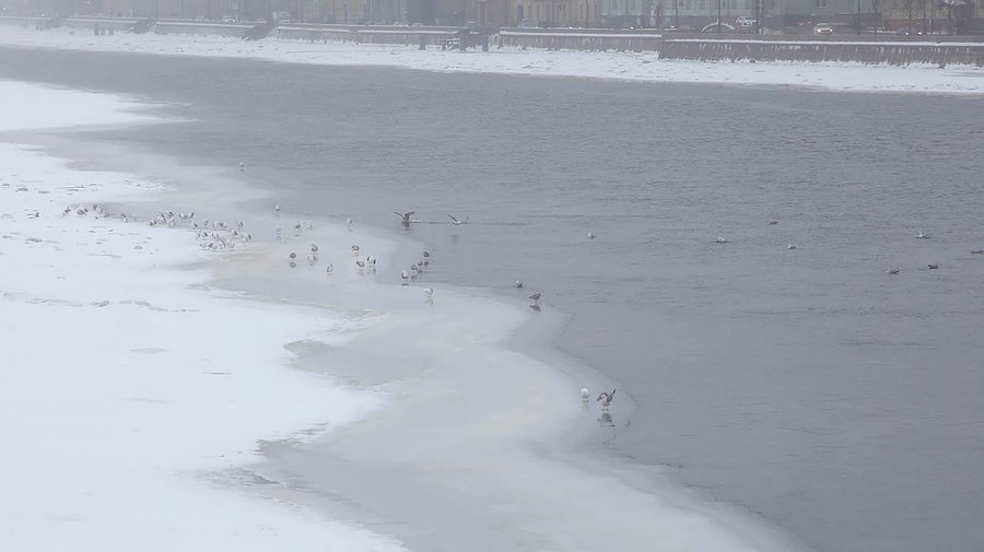 Старый Новый год в Петербурге будет очень тёплым и дождливым