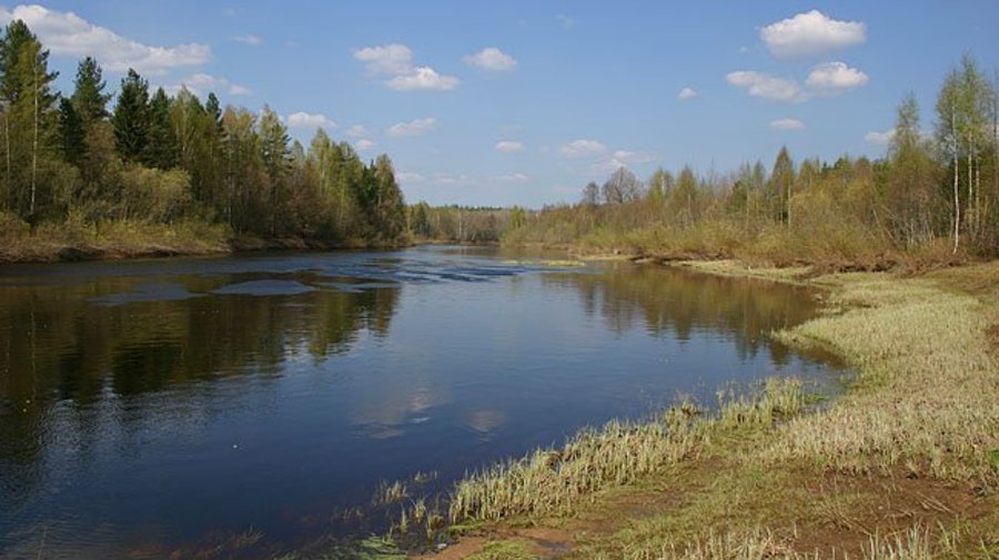 Луга