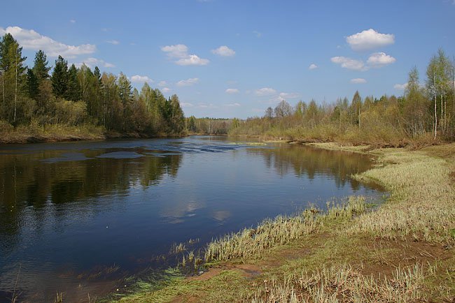 Луга