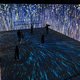 Выставка «Цветотерапия. 2.0»