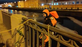 Волонтёры спасли утку, которая примёрзла ко льду на Обводном канале