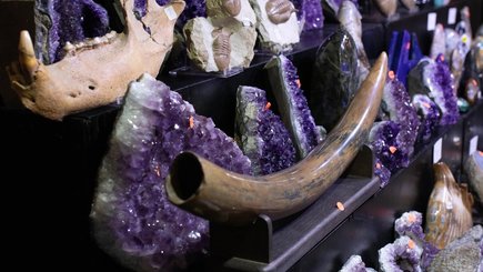 Семейный фестиваль-маркет MineralFest пройдет на Петроградке — фото 1