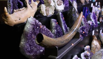 Семейный фестиваль-маркет MineralFest пройдет на Петроградке