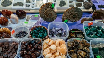 Семейный фестиваль-маркет MineralFest пройдет на Петроградке — фото 10