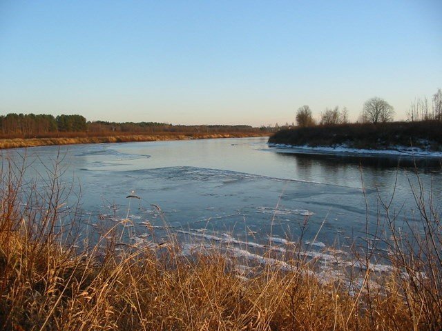 Ижора