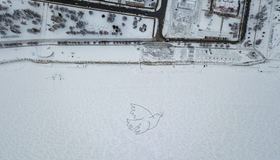 На Онежском озере в Петрозаводске появилась «Голубка» Пикассо
