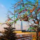 Масленица в пространстве «Флагшток»