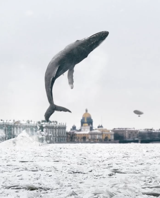Художник Вадим Соловьёв показал мартовского кита в центре Петербурга