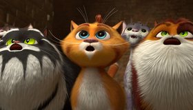 Мультфильм «Коты Эрмитажа» вышел в прокат