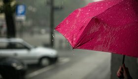 Дожди в Москве почти побили абсолютный рекорд осадков