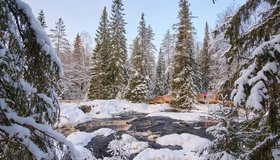 Билет на экскурсию «Мраморное сердце Карелии: водопады и каньон Рускеала» со скидкой 53%