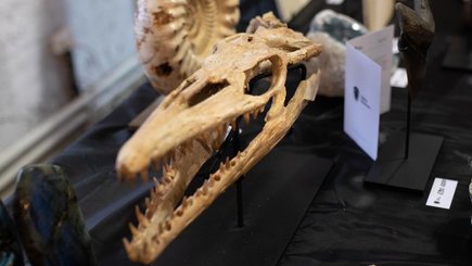 День геолога на фестивале MineralFest  — фото 11