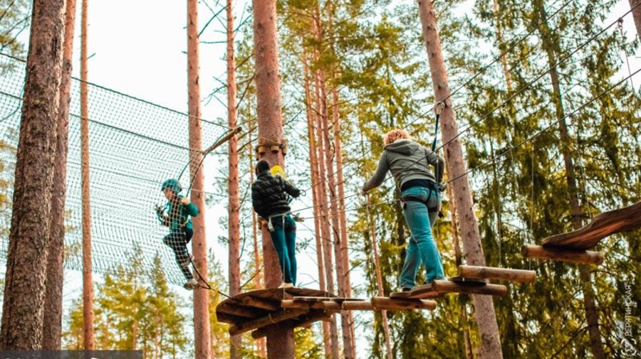 Сеть веревочных парков «Norway Park»