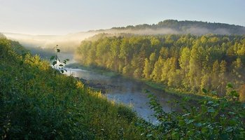 Ладвинская экотропа в парке «Вепсский лес»