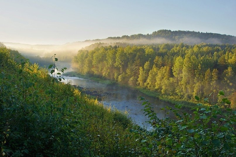 Ладвинская экотропа в парке «Вепсский лес»