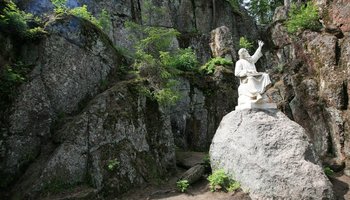 Экотропа в парке Монрепо 