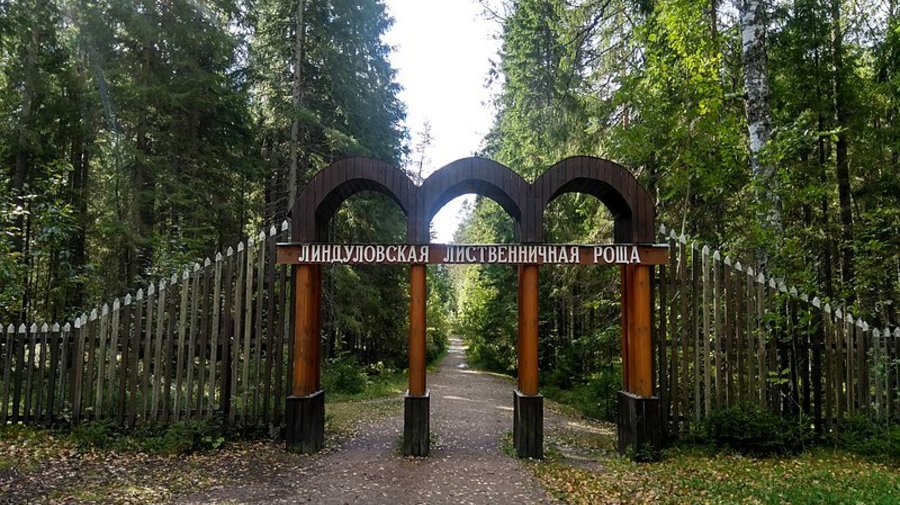 В Ленинградской области стартовал сезон бесплатных экскурсий
