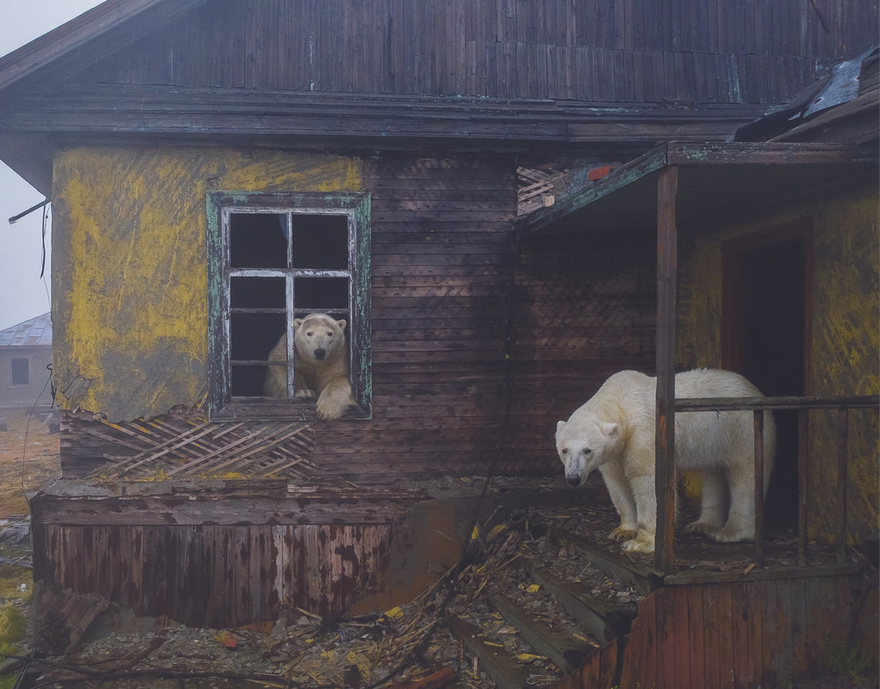 Фотовыставка «Заповедная Россия»