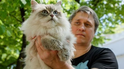 День петербургских котов — фото 2