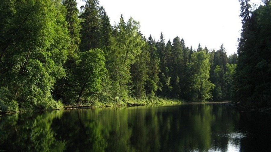 Пять лучших озер для купания под Петербургом