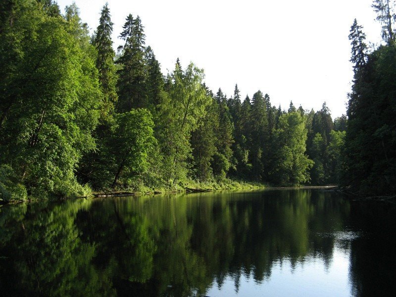 Пять лучших озер для купания под Петербургом