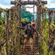Премьера фильма «Круиз по джунглям: Тайна Вальверде»