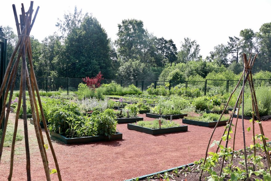 Садоводство боде. Садоводство боде в павловске. Садоводство боде. Садоводство боде в павловском парке фото. Садоводство боде.