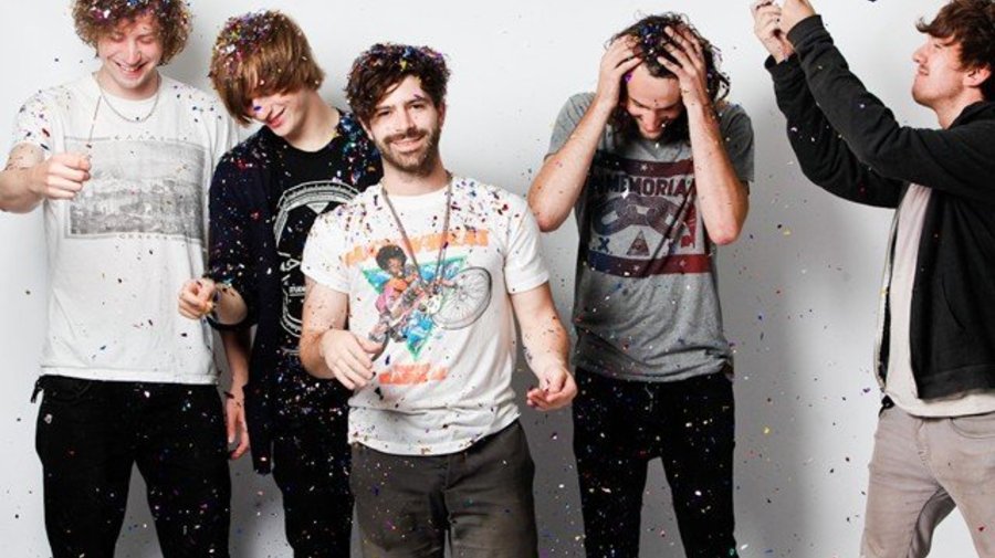 Foals