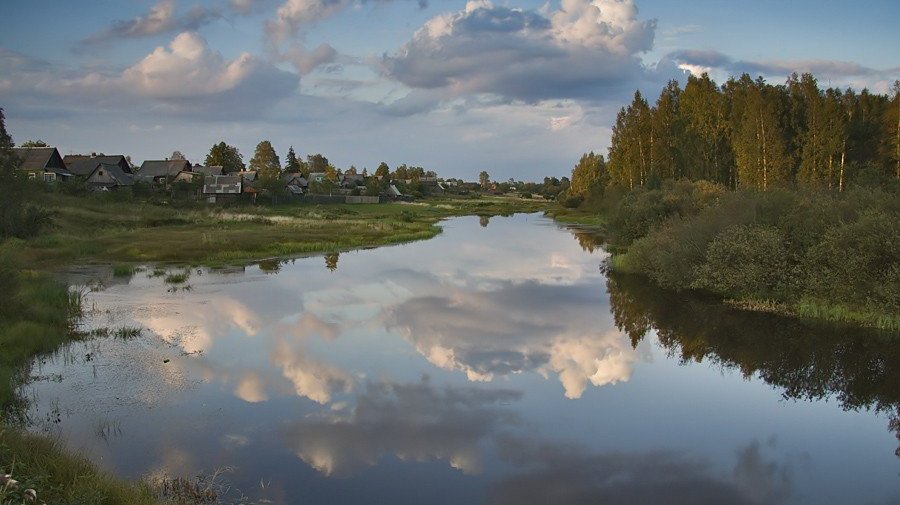Маловишерский лес