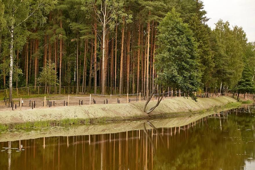РЖЕВСКИЙ лесопарк Санкт-Петербург. Набережная реки лапки в Ржевском лесопарке. Река лапка РЖЕВСКИЙ лесопарк. Благоустройство реки лапки. РЖЕВСКИЙ лесопарк Санкт-Петербург. Набережная реки лапки в Ржевском лесопарке. Река лапка РЖЕВСКИЙ лесопарк. Благоустройство реки лапки.