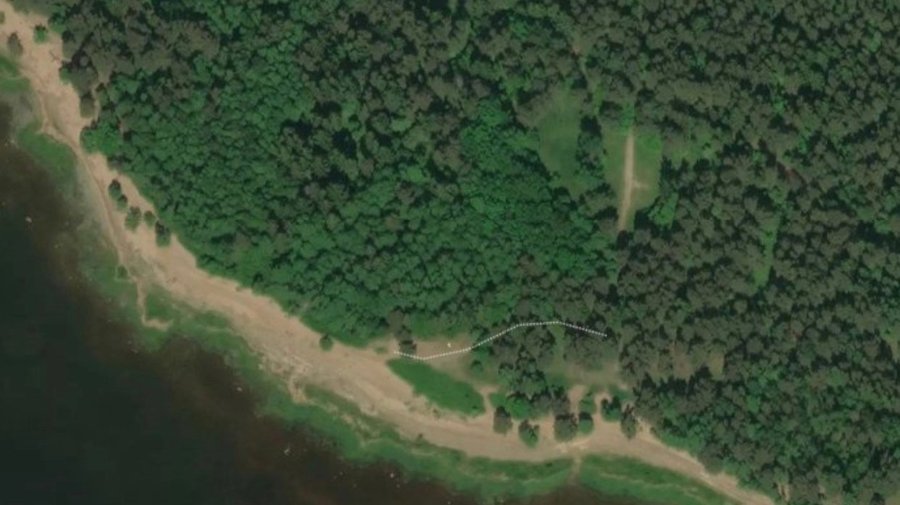 Водоёмы Петербурга и Ленобласти позеленели 